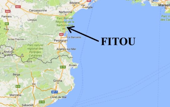 Back in Fitou