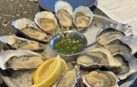 About oysters