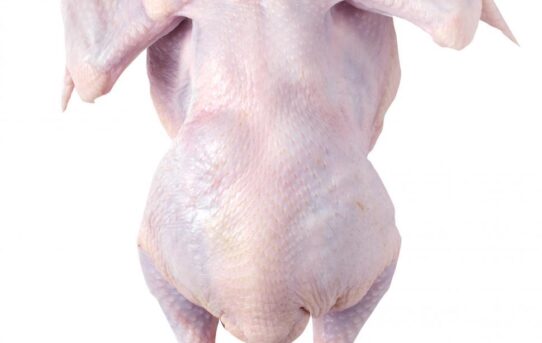 The best part of the chicken